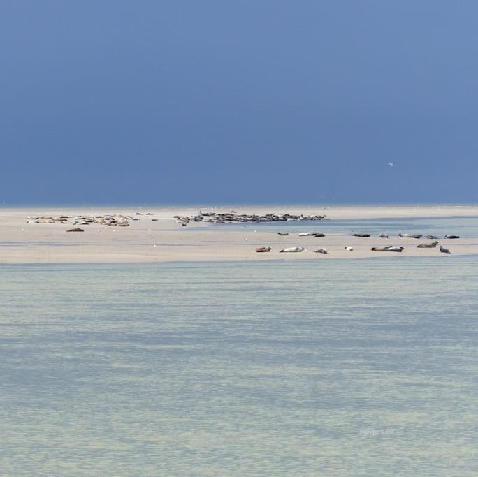 Vue Apartamento Berck